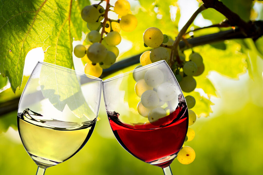 fredericksburg wine tours for couples