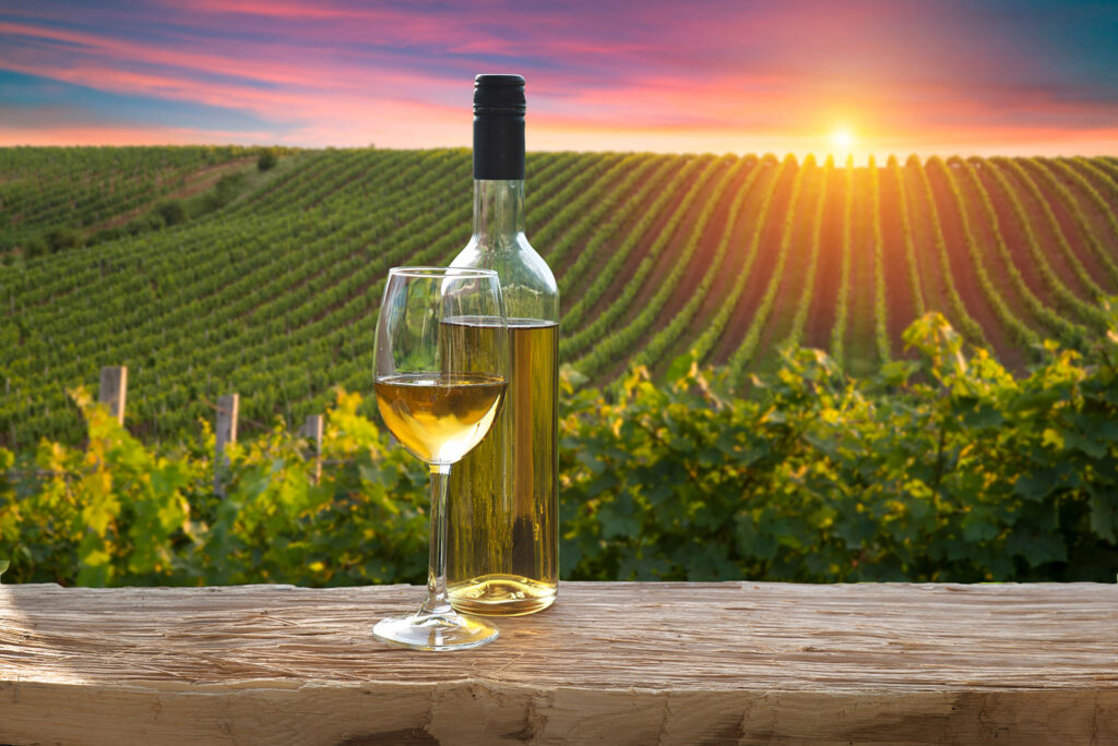 fredericksburg wine tours